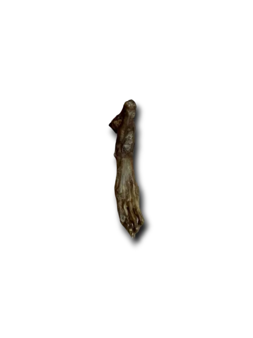 100 grams rabbit feet no fur