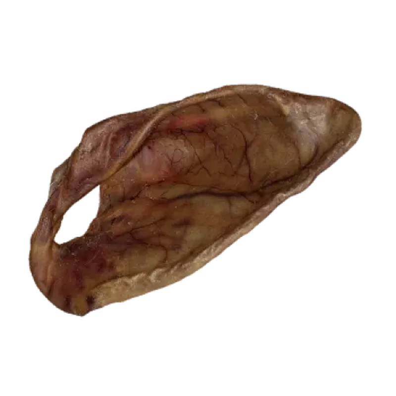 1 pig ear