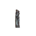 Beef trachea