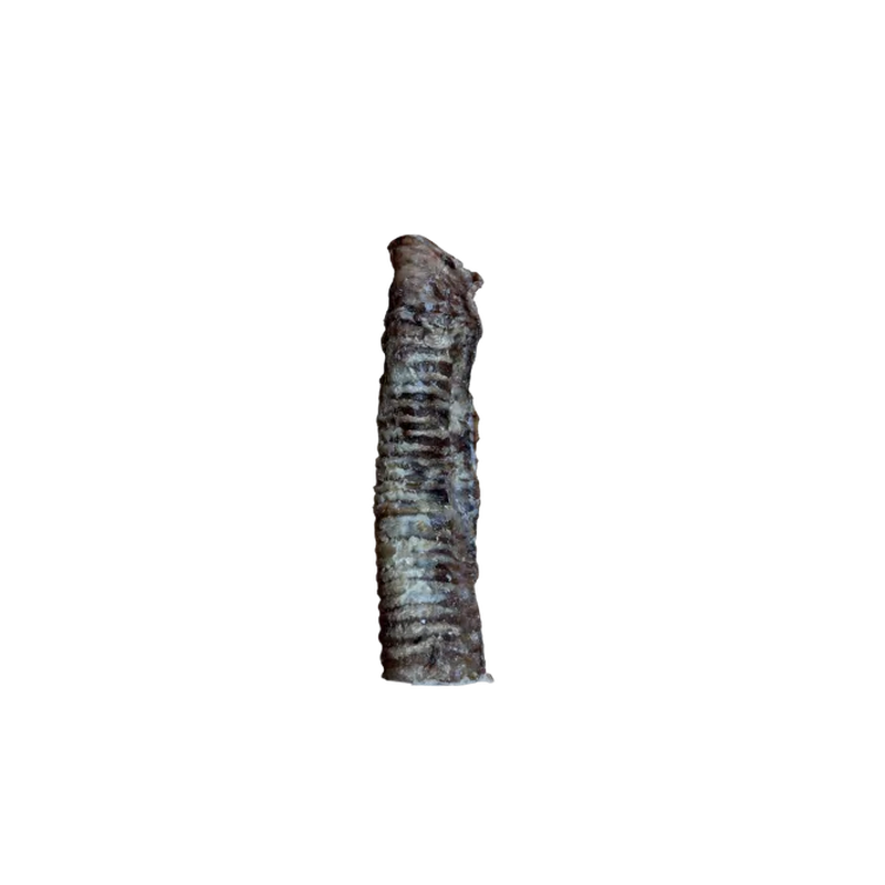 Beef trachea