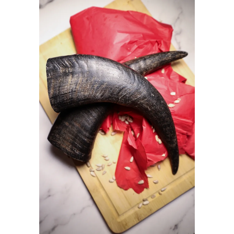 Large buffalo horn