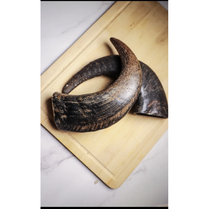 Medium buffalo horn