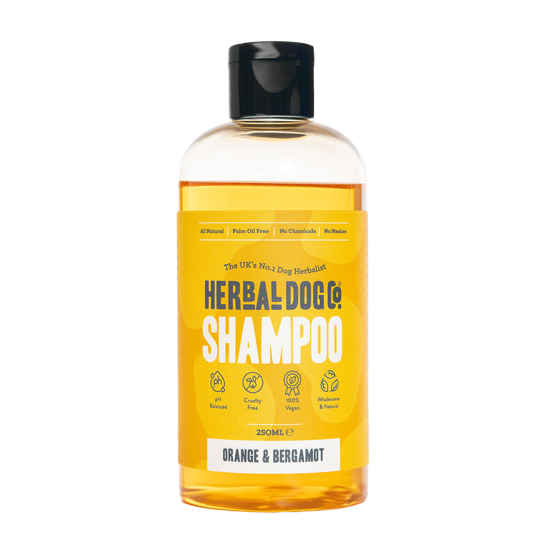 Orange & Bergamot | Natural Shampoo | Dog & Puppy